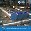 Spring Steel For Roller Shutter Parts