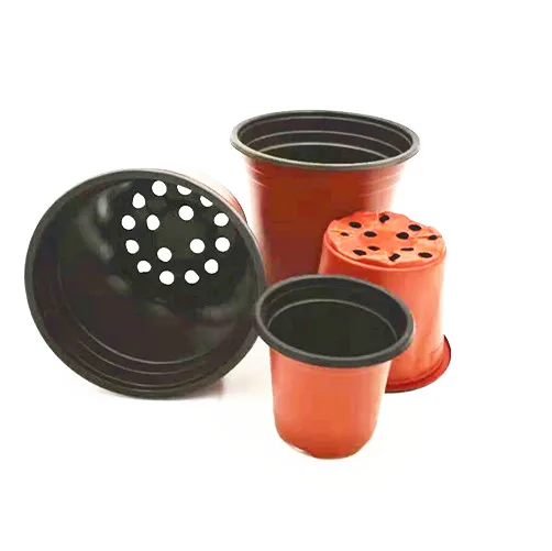 Greenhouse using bicolored small plastic flower nursery pots for seeds