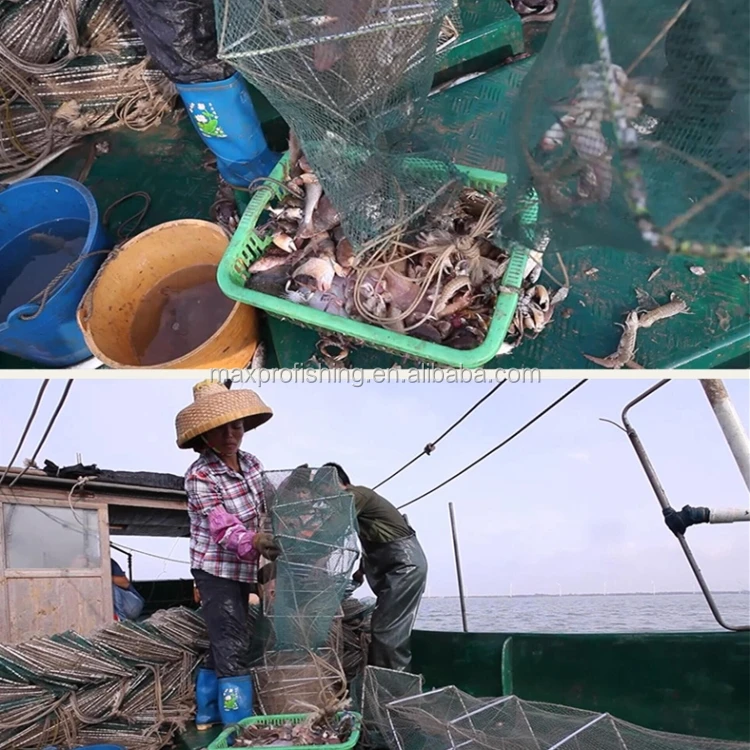 eel fyke net (1).jpg