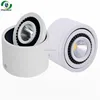 CHANDLER 15W rotatable ceiling surface mounted led ceiling light, led light ceiling, led cob ceiling light