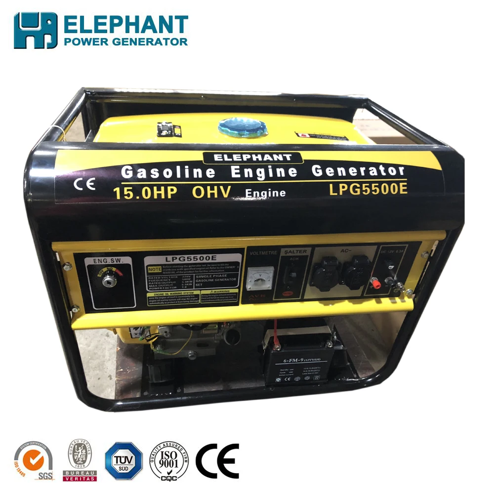Generator With LPG.jpg