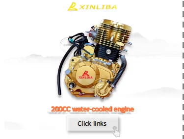 Top quality 300cc three wheel tricycle cargo motorcycle with cabin