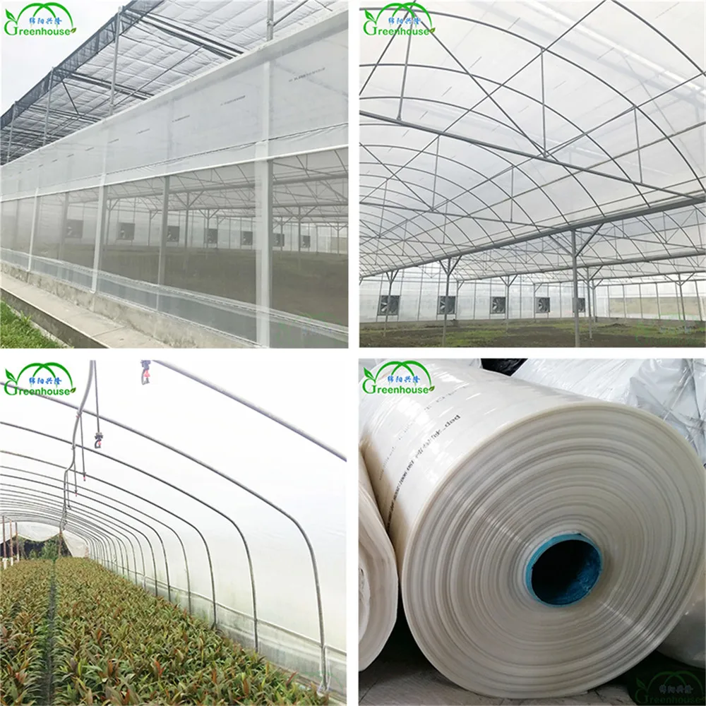 Wiggle Wire For Film Greenhouse - Buy High Quality Film Wiggle Wire ...