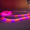 houde lighting !635 nm 660nm 465nm 450nm smd 5050 5red 1 blue apollo led grow light