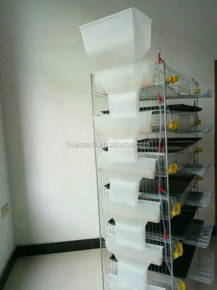 6 Layer 300 Quails Galvanized Wire Mesh Quail Cage Conforms With Healthy Reasonable For Poultry