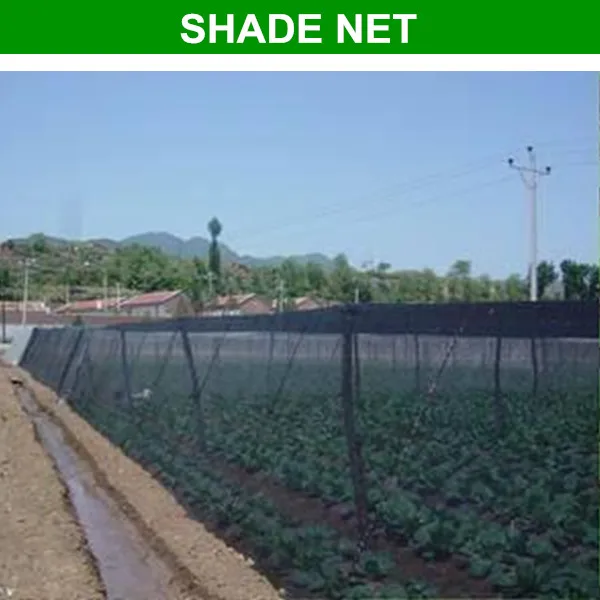 New Designed Plastic Greenhouse Shade Cloth Roof Shade Net View