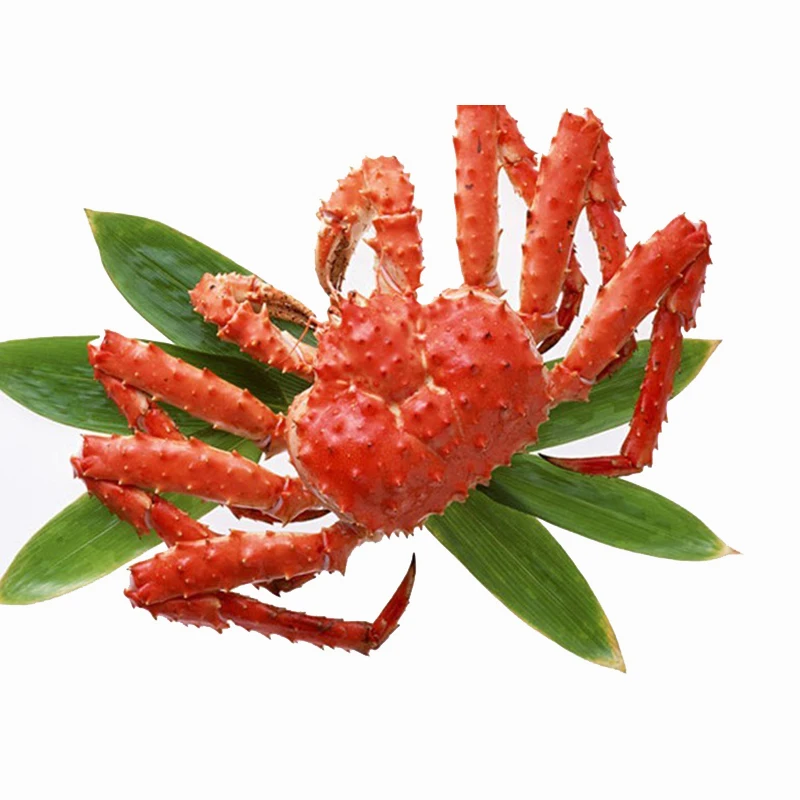 
Cheap Whole king crab live red  (62024935466)