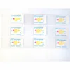 Economical Helicobacter Pylori Rapid Testing Paper for gastric tissue 900 Piece