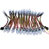 12v 12mm ws2818 outdoor decorative christmas exposed module lights led string tree lights