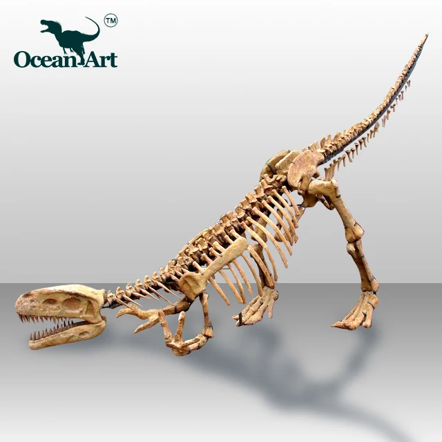 life size dinosaur skeleton replicas for sale