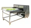 Super effectiveness vegetable root cutting machine