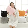 Hot Selling Lovely Pillow Fat Cat Kawaii Plush Toy For OEM Service 2019 Amazon