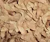 New havested dried Shantung maple, Shandong maple, or purpleblow maple seeds