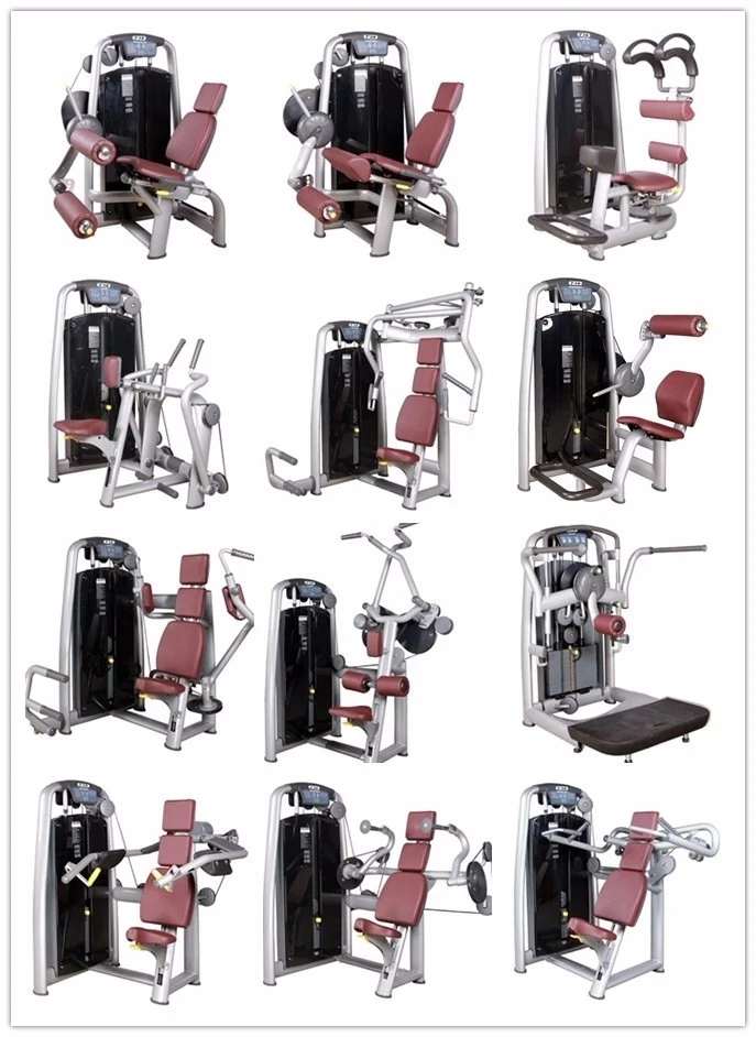 TZ-series 6...webp.jpg