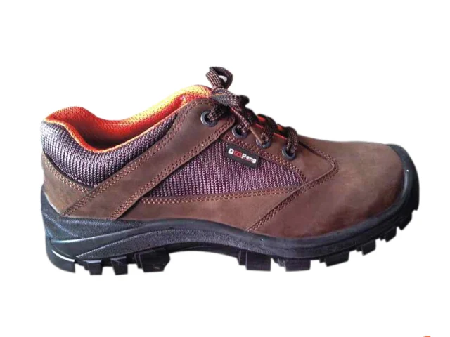 S1 s1p s2 s3 Clearance