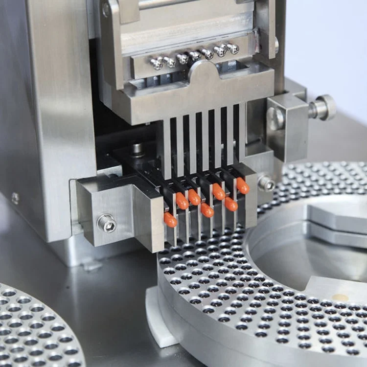 
OEM Natural saponins Capsules extract ginseng 