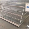 A-type Baby Chicken Layer Cage