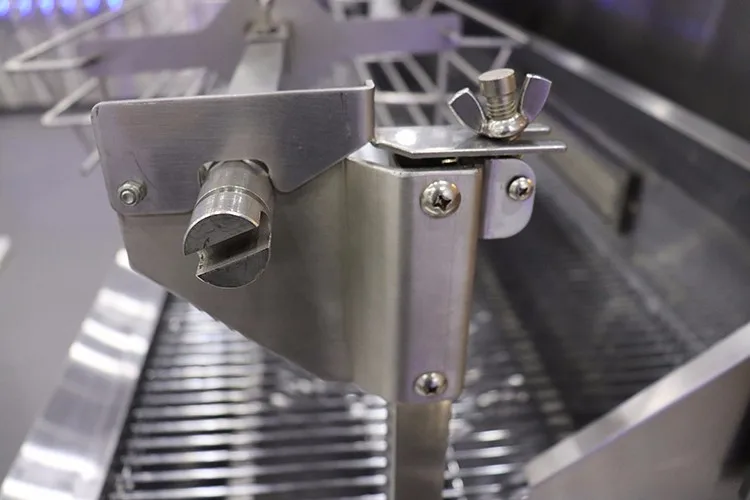 Commercial Spit Roaster Lamb Indoor Pig Roast Machine Portable Butane