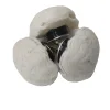 Little Buffer Wheels Buffing Polishing Buffing Pad Mop Wheel Drill Kit for Manifold