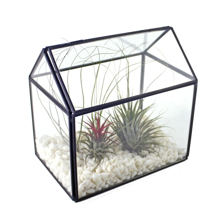 Wholesale Geometric Glass Terrarium Plant Holder Glass Terrarium Containers Glass Reptile
