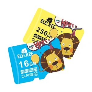 High Performance Micro SD Card Cameras