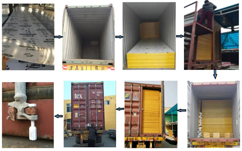 plastic sheet for windows