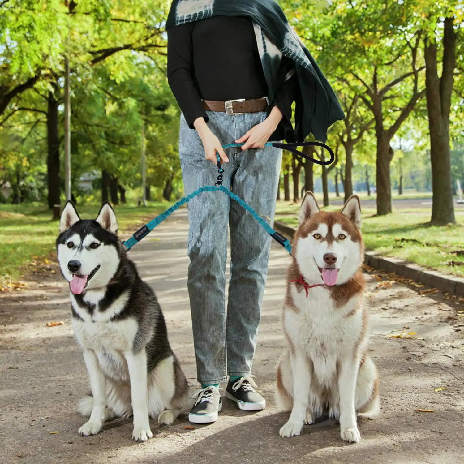 双双狗皮带舒适减震反光蹦极两只狗