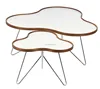 MODERN TABLE UNIQUE DESIGN SWEDESE FLOWER COFFEE TABLE