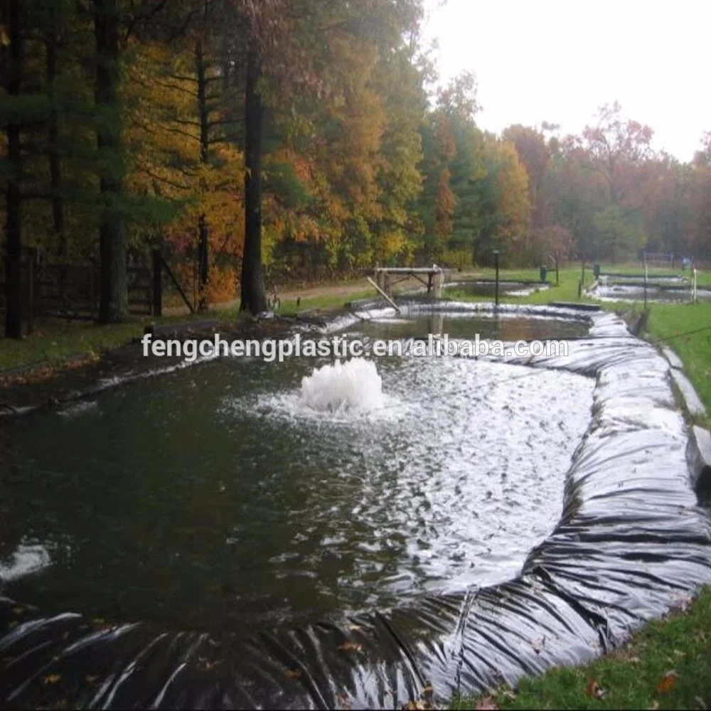 HDPE Fish Pond Liner 8*2/8*4/8*6/8*8/8*10/8*12/8*14m Impermeable Geomembrane 