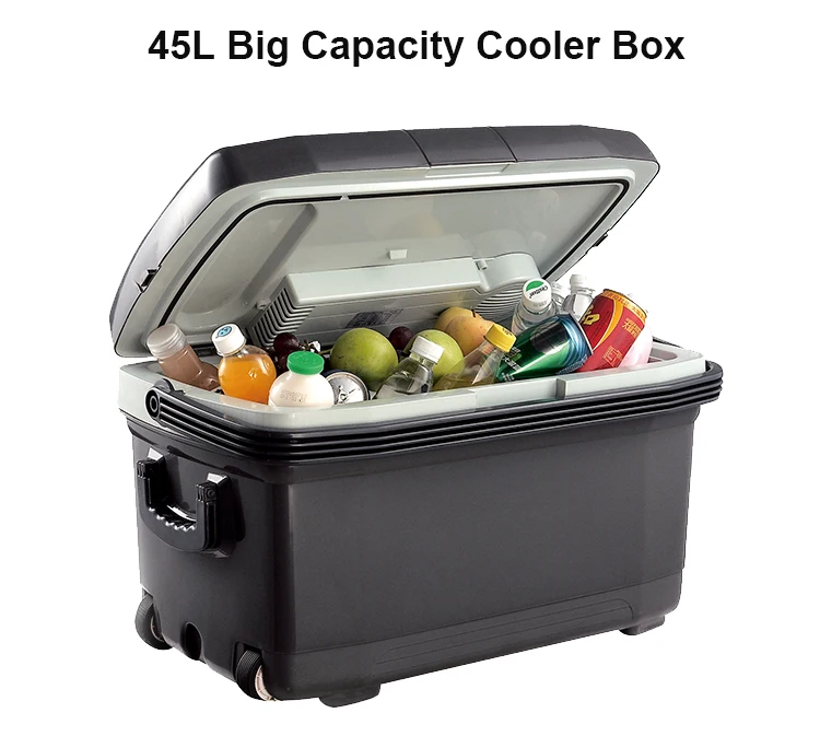 Best Price 45l Big Capacity 12v 100240v Electric For Car Use And Camping Keep Drink And Food