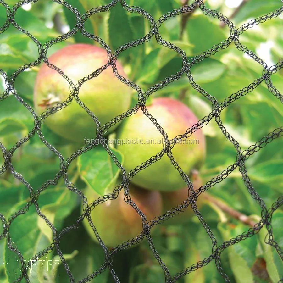 Black Woven Knotless Invisible Pond Net Buy Knotless Nylon Net