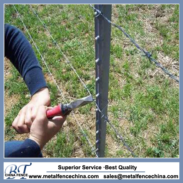 Cheap metal t-post wholesale Hot dipped galvanized studded t post for field fence with high quality foe sale