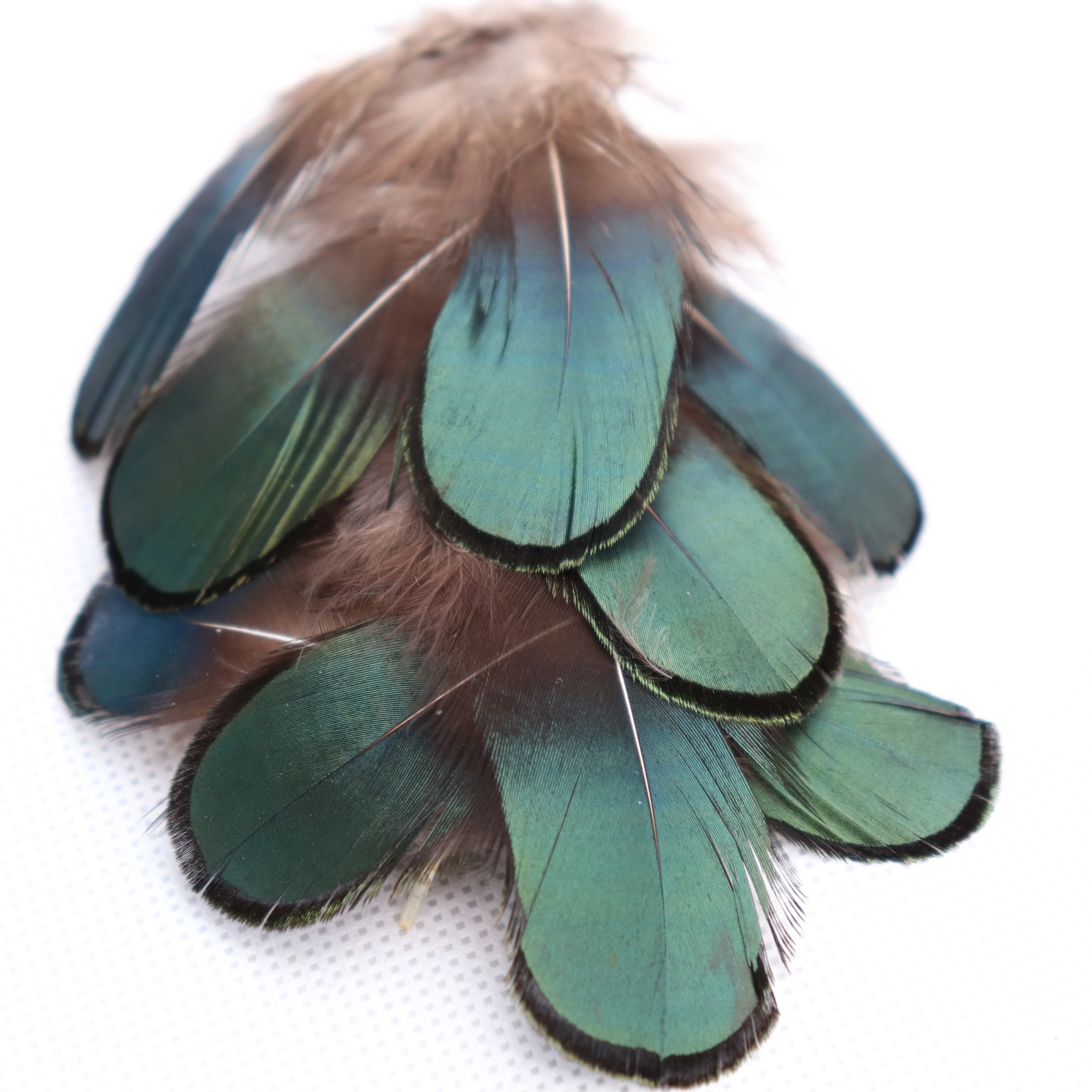 
Cheap Pheasant Feather Peacock Head Feather 