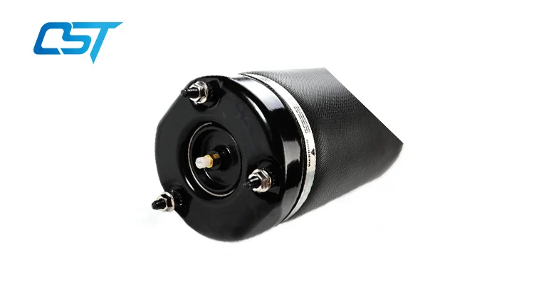 shock absorber detail.jpg