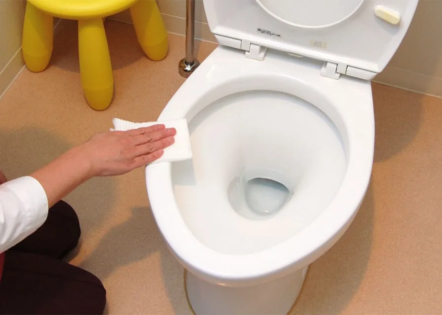 Thick Japanese Sanitary Biodegradable Toilet Cleaning Flushable Wet