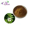 False Purslane Extract CAS:90083-07-1/10:1 Bacopa monnieri extract/50% Bacosides Pharmaceutica/anti-aging