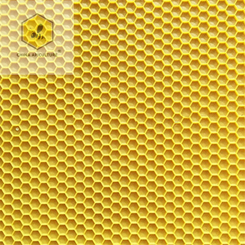Искусственная восковая основа пчелиных сот 6 букв. Восковые соты. Воск соты. Листы воска соты. Beeswax Foundation.