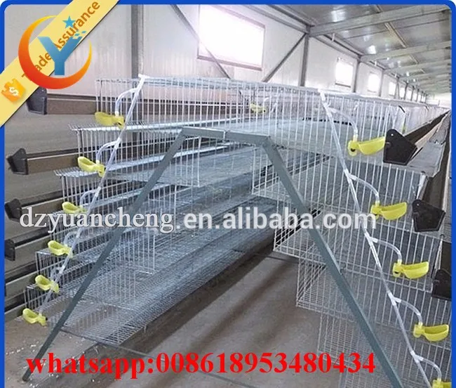 Quail Farm Equipmentcheap Vertical Quail Cage And Heavy Duty Quail Cage System Buy Quail