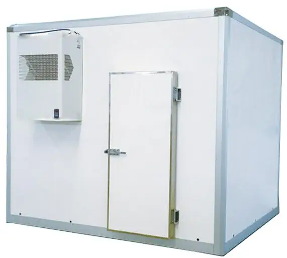 
Cold Room Storage, Blast Freezer for Fish 
