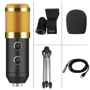 BM 900 USB Condenser Microphone Tripod Stand PC