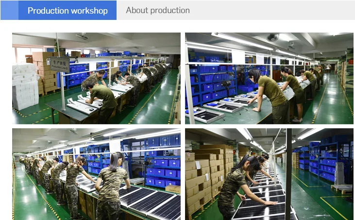 century sunshine workshop