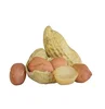 peanut in shell&peanut with shell&shelled peanut