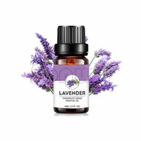 

Free ship Reasonable lavender oil price bulk lavender essential oil