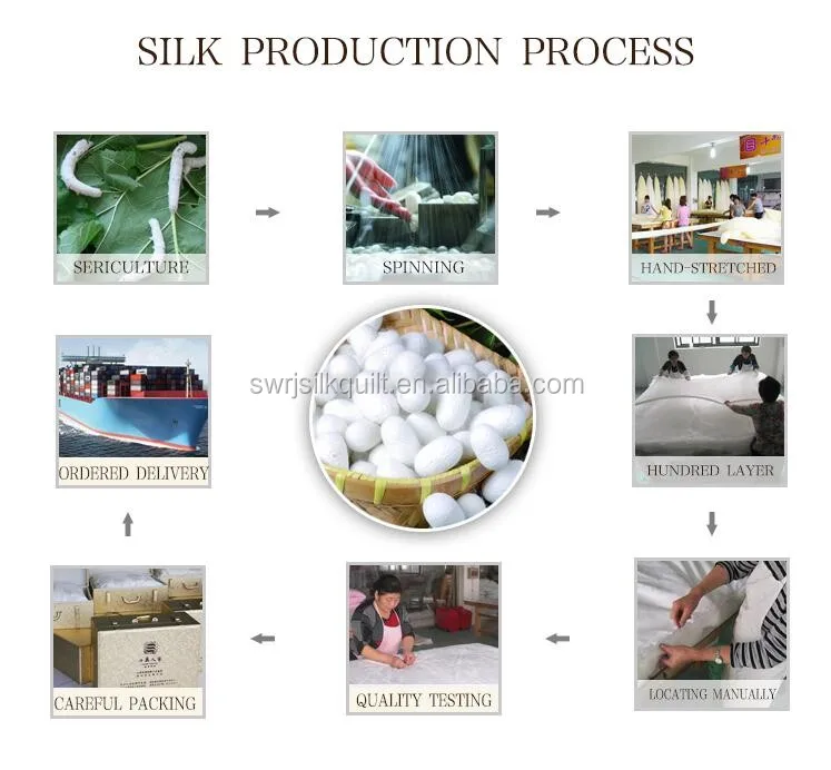 silk production process