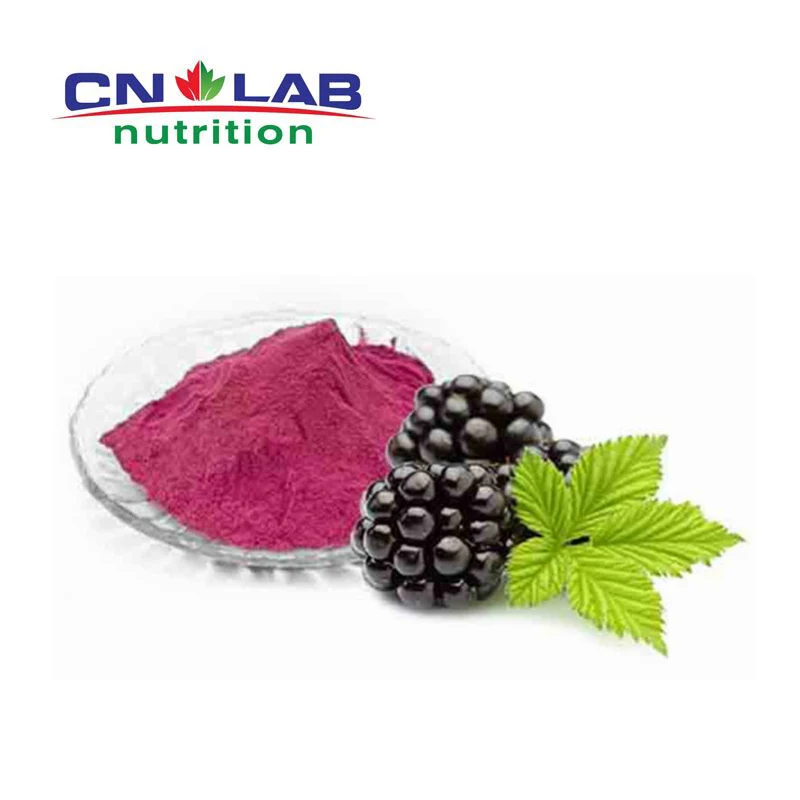 Organic Freeze Dried Blackberry Fruit Powder Instant Blackberry Fruit