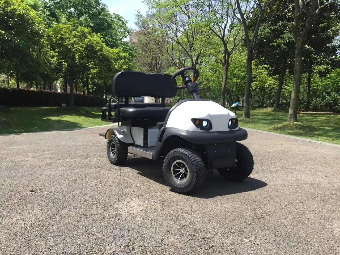 2019 迷你 4 座电动俱乐部汽车高尔夫球车与 ce认证中国制造