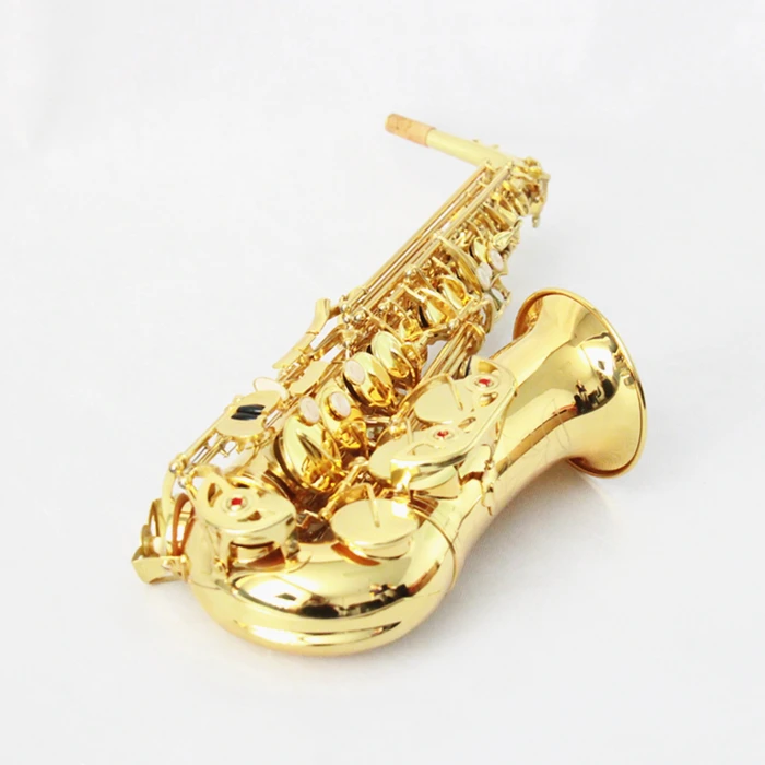 
FOCUS FAS-150 Gold Lacquer Alto Saxophone With case, Reeds etc 