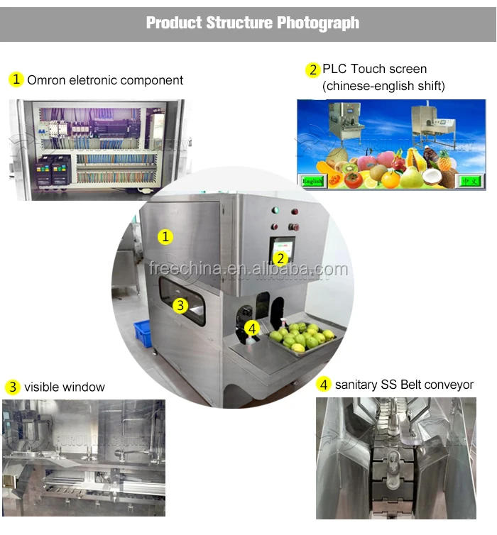 High Efficiency Automatic Grape Fruit Peeler,Grape Fruit Peeling