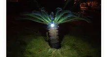 HTB1ZiwyMpXXXXXDXpXXq6xXFXXXT