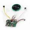 Recordable sound module otp music ic chip for recorded message